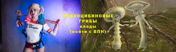 винт Аркадак