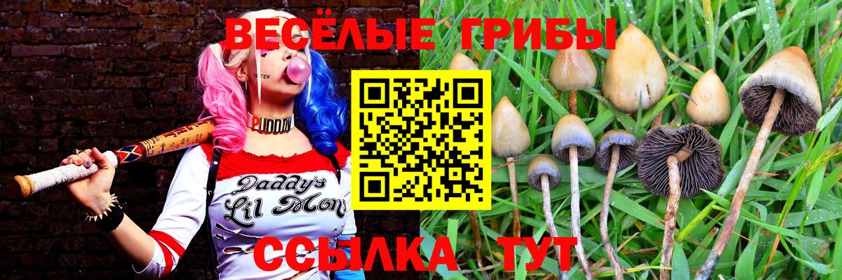 Галлюциногенные грибы Cubensis  Вход с VPN  Белая Калитва 